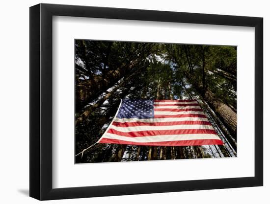 American Flag in Forest, Washington-Paul Souders-Framed Photographic Print