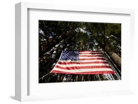 American Flag in Forest, Washington-Paul Souders-Framed Photographic Print