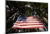 American Flag in Forest, Washington-Paul Souders-Mounted Photographic Print