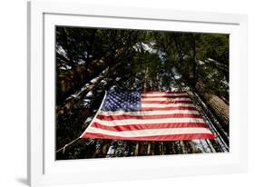 American Flag in Forest, Washington-Paul Souders-Framed Photographic Print