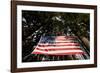 American Flag in Forest, Washington-Paul Souders-Framed Photographic Print