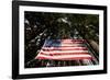 American Flag in Forest, Washington-Paul Souders-Framed Photographic Print