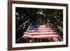 American Flag in Forest, Washington-Paul Souders-Framed Photographic Print