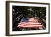 American Flag in Forest, Washington-Paul Souders-Framed Photographic Print