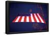 American Flag in Grand Central Station NYC-null-Framed Poster