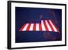 American Flag in Grand Central Station NYC-null-Framed Photo