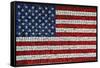 American Flag In Mosaic-Leonard Zhukovsky-Framed Stretched Canvas