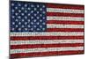 American Flag In Mosaic-Leonard Zhukovsky-Mounted Art Print