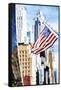 American Flag - In the Style of Oil Painting-Philippe Hugonnard-Framed Stretched Canvas