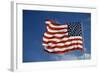 American Flag in the Wind-Joseph Sohm-Framed Photographic Print