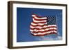 American Flag in the Wind-Joseph Sohm-Framed Photographic Print