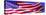 American Flag in Wind-null-Stretched Canvas