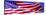 American Flag in Wind-null-Stretched Canvas