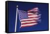 American Flag is Blurred with the Motion of the Wind against the Blue Sky-Richard T. Nowitz-Framed Stretched Canvas