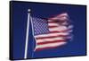 American Flag is Blurred with the Motion of the Wind against the Blue Sky-Richard T. Nowitz-Framed Stretched Canvas