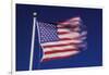 American Flag is Blurred with the Motion of the Wind against the Blue Sky-Richard T. Nowitz-Framed Photographic Print