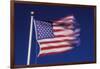 American Flag is Blurred with the Motion of the Wind against the Blue Sky-Richard T. Nowitz-Framed Photographic Print