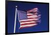 American Flag is Blurred with the Motion of the Wind against the Blue Sky-Richard T. Nowitz-Framed Photographic Print