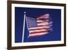 American Flag is Blurred with the Motion of the Wind against the Blue Sky-Richard T. Nowitz-Framed Photographic Print