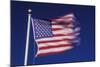 American Flag is Blurred with the Motion of the Wind against the Blue Sky-Richard T. Nowitz-Mounted Photographic Print