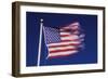 American Flag is Blurred with the Motion of the Wind against the Blue Sky-Richard T. Nowitz-Framed Photographic Print