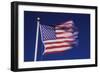 American Flag is Blurred with the Motion of the Wind against the Blue Sky-Richard T. Nowitz-Framed Photographic Print