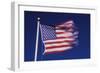 American Flag is Blurred with the Motion of the Wind against the Blue Sky-Richard T. Nowitz-Framed Photographic Print