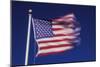 American Flag is Blurred with the Motion of the Wind against the Blue Sky-Richard T. Nowitz-Mounted Photographic Print