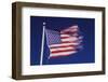 American Flag is Blurred with the Motion of the Wind against the Blue Sky-Richard T. Nowitz-Framed Photographic Print