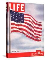 American Flag, July 6, 1942-Dmitri Kessel-Stretched Canvas