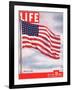 American Flag, July 6, 1942-Dmitri Kessel-Framed Photographic Print