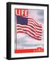 American Flag, July 6, 1942-Dmitri Kessel-Framed Photographic Print