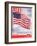 American Flag, July 6, 1942-Dmitri Kessel-Framed Photographic Print