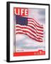 American Flag, July 6, 1942-Dmitri Kessel-Framed Photographic Print