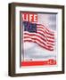 American Flag, July 6, 1942-Dmitri Kessel-Framed Photographic Print