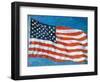 American Flag Mosaic-Joseph Sohm-Framed Photographic Print