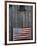 American Flag on Barn-Marilyn Parver-Framed Photographic Print