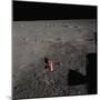 American Flag on the Moon-null-Mounted Photographic Print