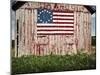 American flag painted on barn-Owaki-Mounted Premium Photographic Print