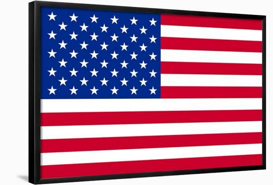 American Flag Poster Print-null-Framed Poster