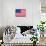 American Flag Poster Print-null-Mounted Poster displayed on a wall