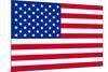 American Flag Poster Print-null-Mounted Poster