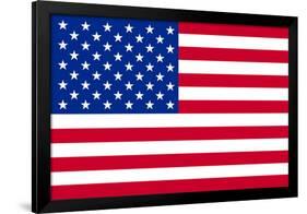 American Flag Poster Print-null-Framed Poster