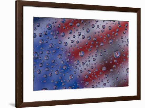 American flag reflection in dew drops-Darrell Gulin-Framed Photographic Print