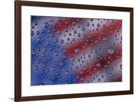 American flag reflection in dew drops-Darrell Gulin-Framed Photographic Print