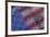 American flag reflection in dew drops-Darrell Gulin-Framed Photographic Print