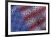 American flag reflection in dew drops-Darrell Gulin-Framed Photographic Print