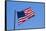 American Flag, USA-David Wall-Framed Stretched Canvas