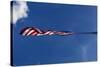 American Flag, Washington-Paul Souders-Stretched Canvas