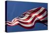 American Flag, Washington-Paul Souders-Stretched Canvas